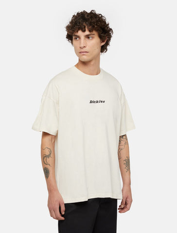 Dickies T-Shirt da uomo manica corta Enterprise