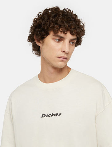 Dickies T-Shirt da uomo manica corta Enterprise