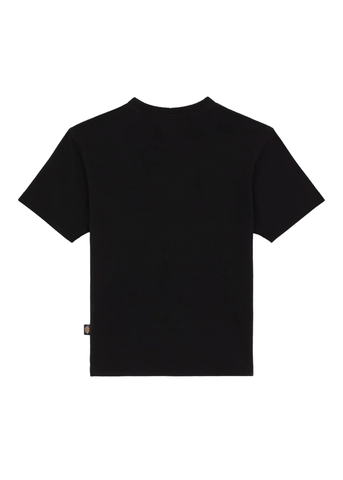 Dickies T-Shirt da donna manica corta Maple Valley