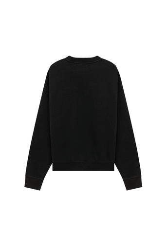 Crew neck 209CV270111-C0020