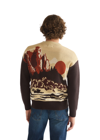 Wrangler Cardigan da uomo con zip Relaxed fantasia