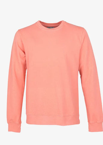 Colorful Standard Men's Crewneck Sweatshirt CS1005