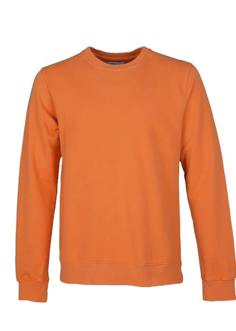 Buntes Standard-Herren-Sweatshirt mit Rundhalsausschnitt CS1005