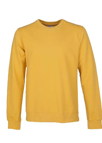 Colorful Standard Men's Crewneck Sweatshirt CS1005