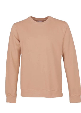 Buntes Standard-Herren-Sweatshirt mit Rundhalsausschnitt CS1005