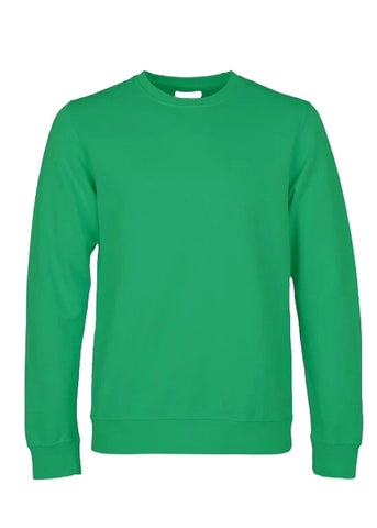 Buntes Standard-Herren-Sweatshirt mit Rundhalsausschnitt CS1005