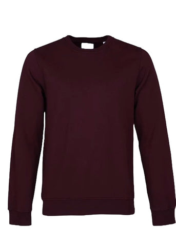 Colorful Standard Men's Crewneck Sweatshirt CS1005