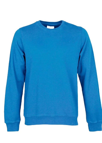 Buntes Standard-Herren-Sweatshirt mit Rundhalsausschnitt CS1005