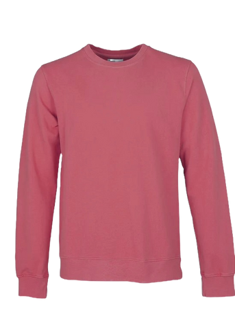 Buntes Standard-Herren-Sweatshirt mit Rundhalsausschnitt CS1005