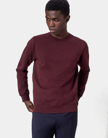 Colorful Standard Men's Crewneck Sweatshirt CS1005