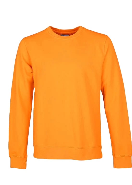 Colorful Standard Men's Crewneck Sweatshirt CS1005