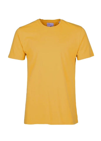 Colorful Standard T-Shirt da uomo manica corta CS1001