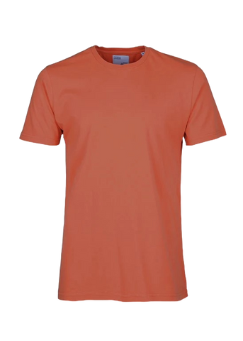 Colorful Standard T-Shirt da uomo manica corta CS1001