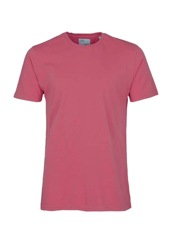 Colorful Standard T-Shirt da uomo manica corta CS1001