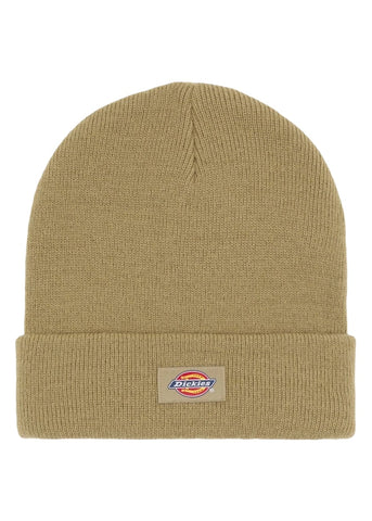 Dickies Cappello Unisex Gibsland Verde