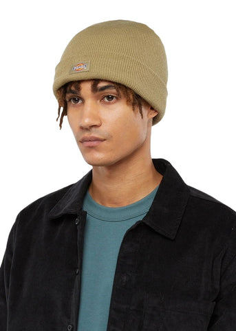 Dickies Cappello Unisex Gibsland Verde