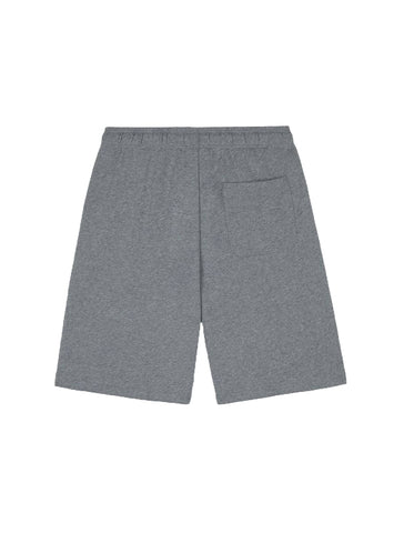 Dickies Men's Shorts Mapleton Grey