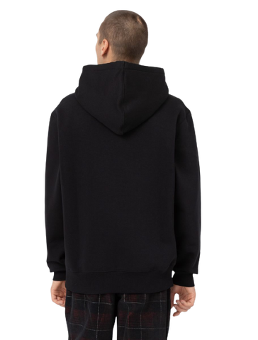 Dickies Park Kapuzenpullover DK0A4YEHBLK1