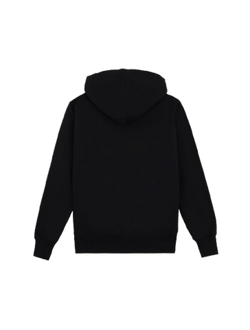 Dickies Park Hoodie DK0A4YEHBLK1