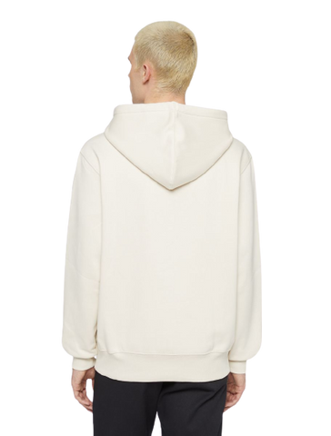 Dickies Park Hoodie DK0A4YEHF901