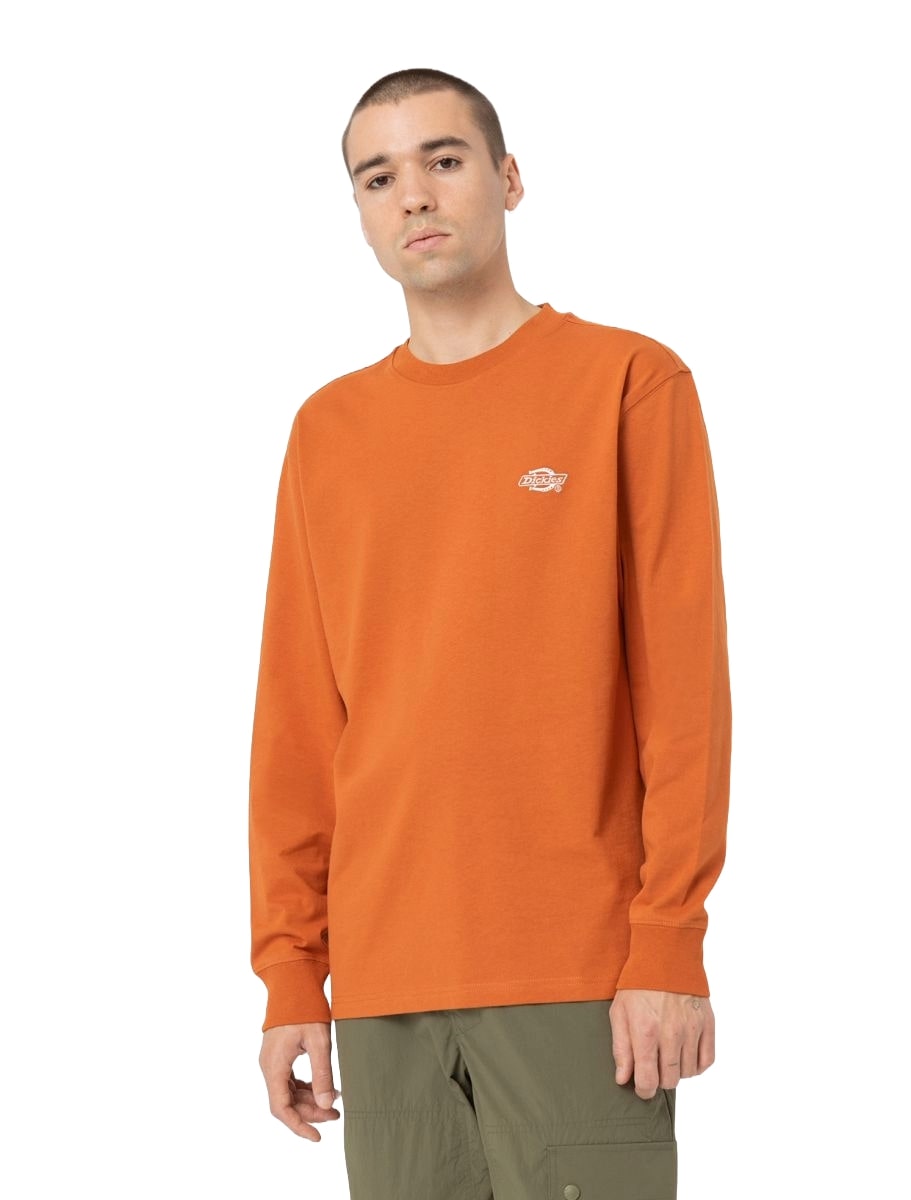 Dickies TS hirt men's long sleeve Summerdale orange