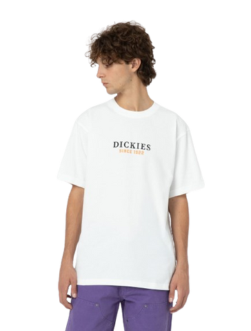 Dickies Park Tee SS DK0A4YFDWHX1