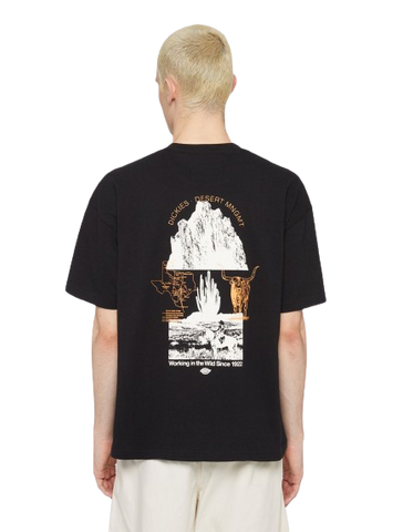 Dickies T-Shirt uomo Pearisburg nero