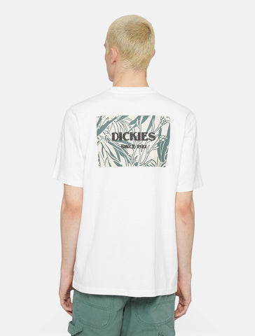 Dickies T-Shirt Uomo Max Meadown bianca