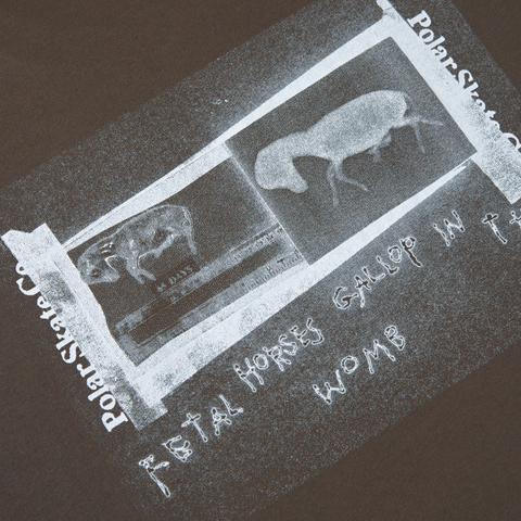 Polar Beautiful Horses T-Shirt PSC-W23-3