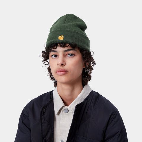 Carhartt Wip Cappello unisex Chase Verde