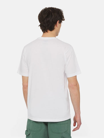 Dickies Aitkin White Men's Short Sleeve T-Shirt