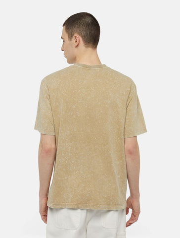 Dickies Men's Short Sleeve T-Shirt Newington Beige
