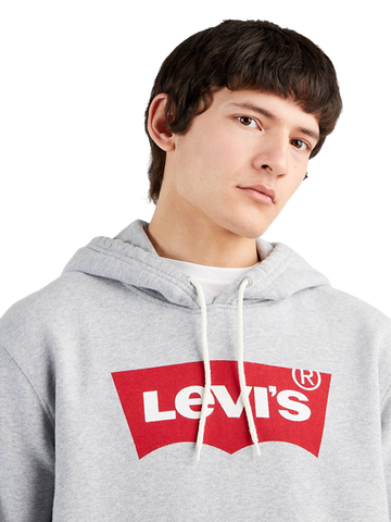 LEVI'S MEN'S GRAPHIC HOODIE 38424-0000