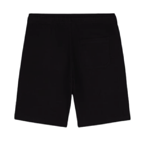 DICKIES MAPLETON SHORTS DK0A4Y83BLK1