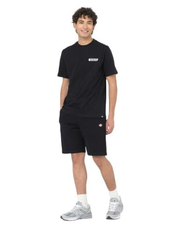 DICKIES MAPLETON SHORTS DK0A4Y83BLK1