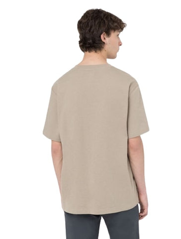 DICKIES PORTERDALE SS T-SHIRT DK0A4TMODKDS0