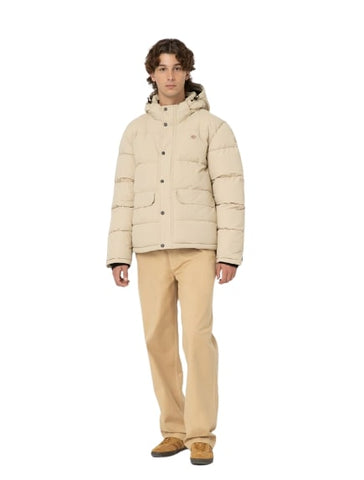 Dickies Giacca piumino da uomo Glacier DK0A4Y3WF951