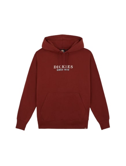 Dickies Park Hoodie DK0A4YEHG041