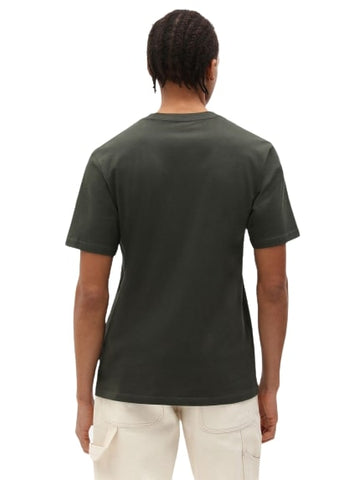 Dickies SS MAPLETON T-SHIRT DK0A4XDBOGX