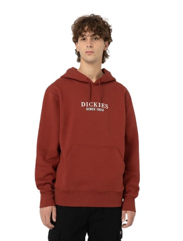 Dickies Park Hoodie DK0A4YEHG041